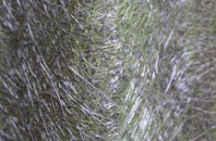 Goon Gumpas fibreglass roof work